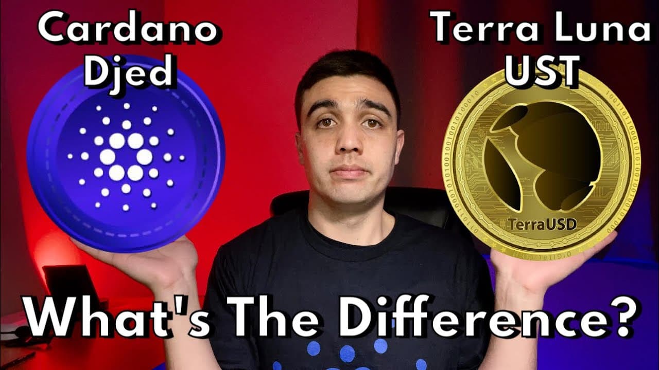 Djed vs UST | LGC Review