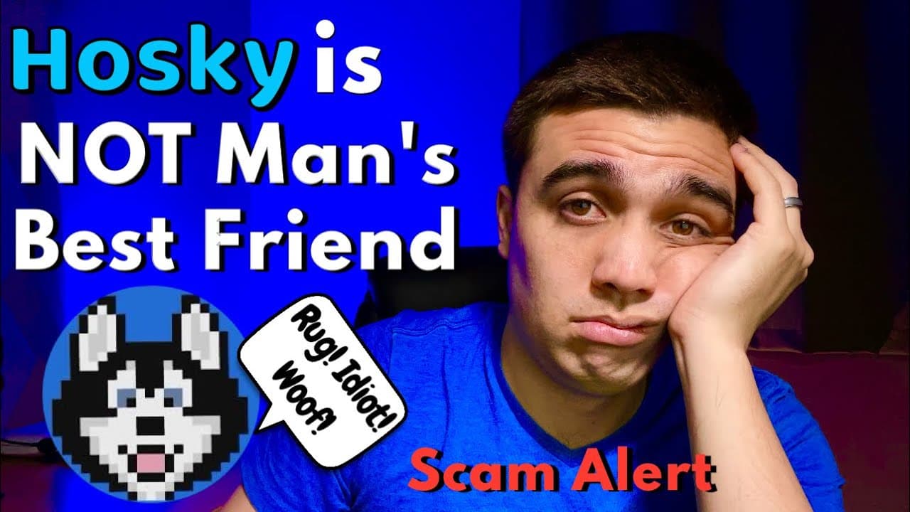 Hosky token breakdown