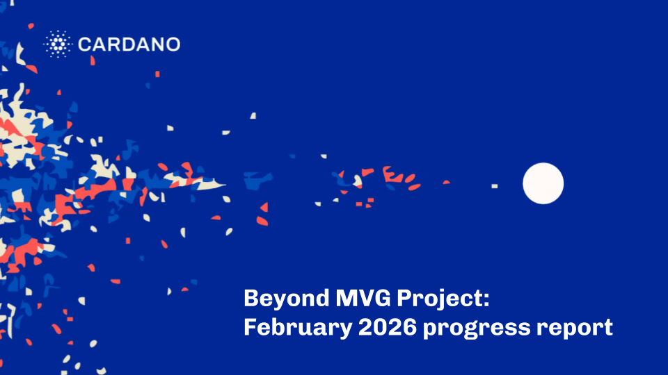 Beyond MVG Project: February 2026 progress report
