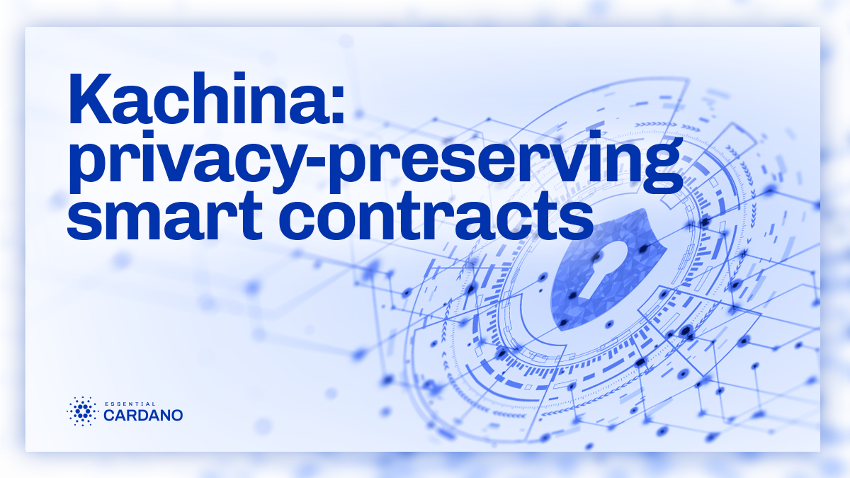 Kachina: privacy-preserving smart contracts