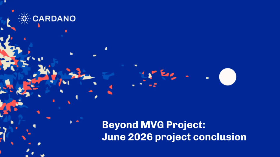Beyond MVG Project: Complete