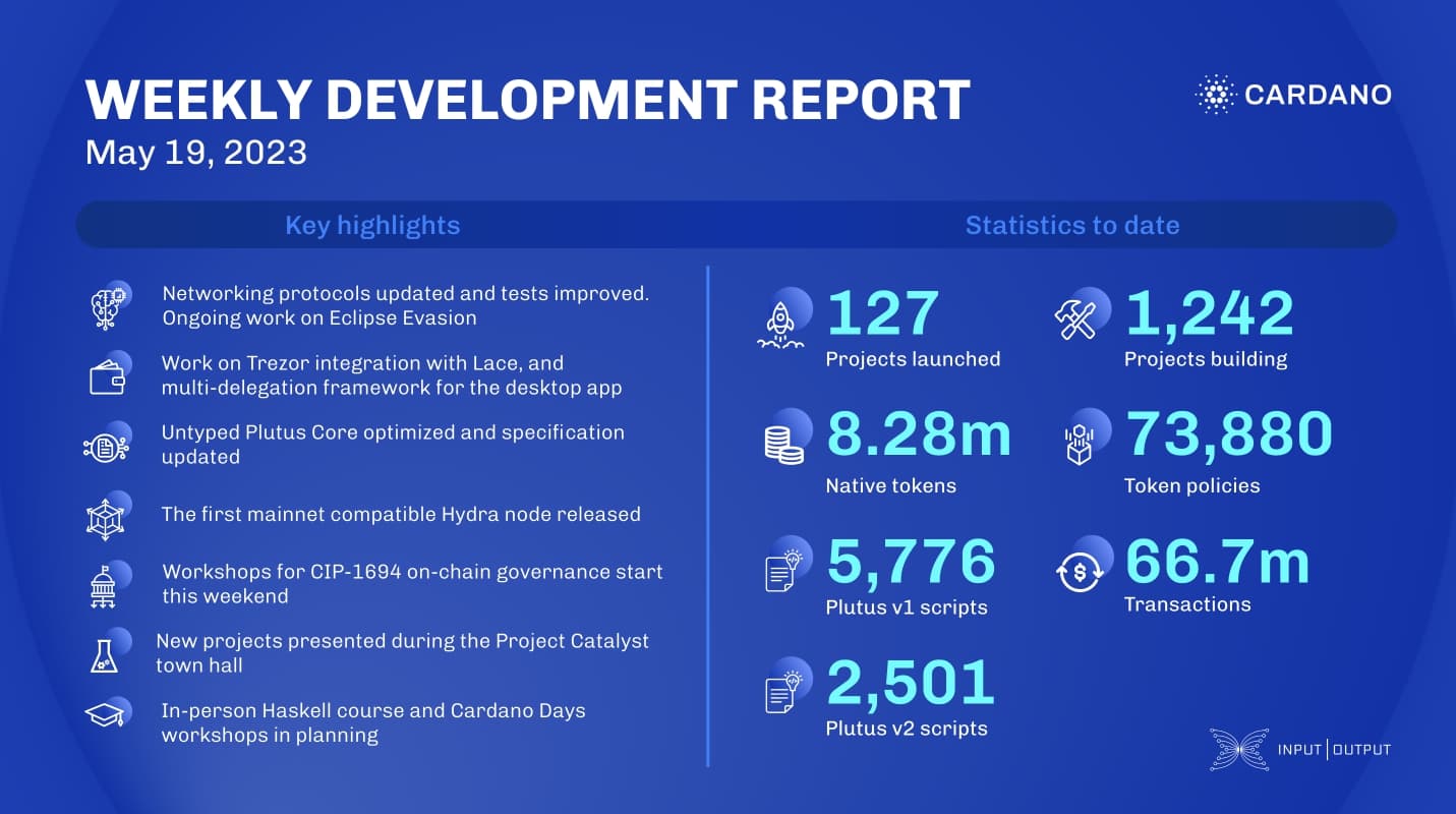 Báo cáo phát triển hàng tuần kể từ 2023-05-19