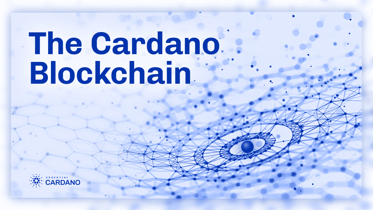 The Cardano blockchain