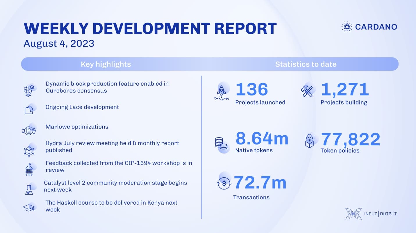 Báo cáo phát triển hàng tuần kể từ 2023-08-04