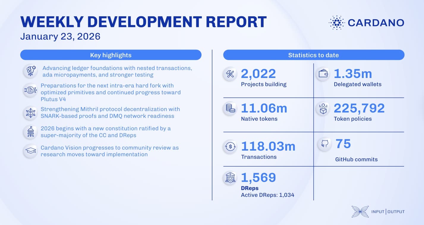Weekly development report as of 2026-01-23