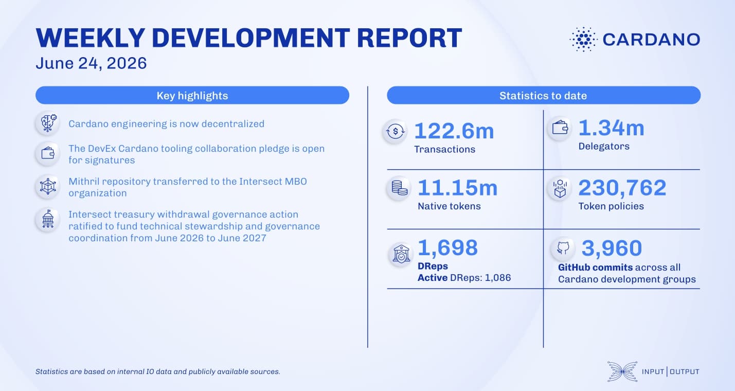 Weekly development report as of 2026-07-24