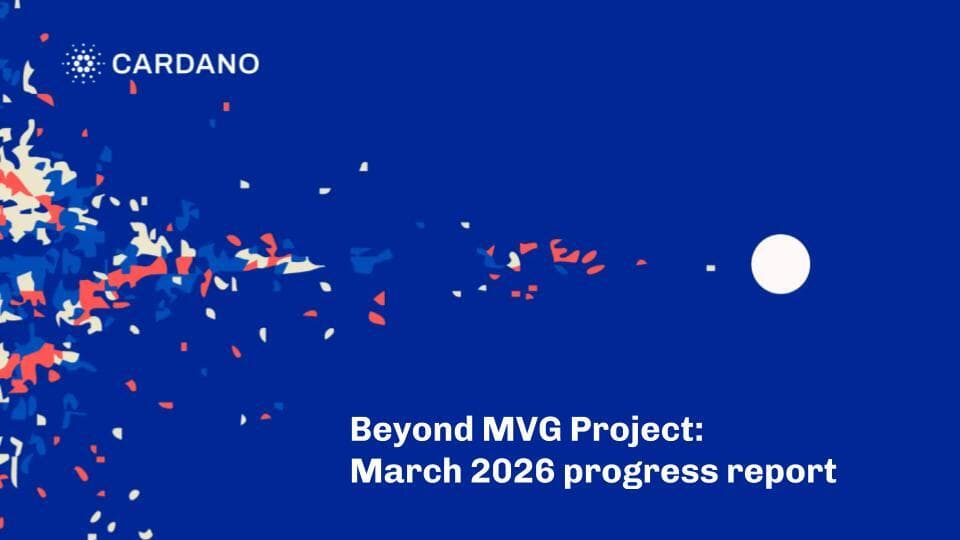 Beyond MVG Project: Milestone 2 data release and progress update