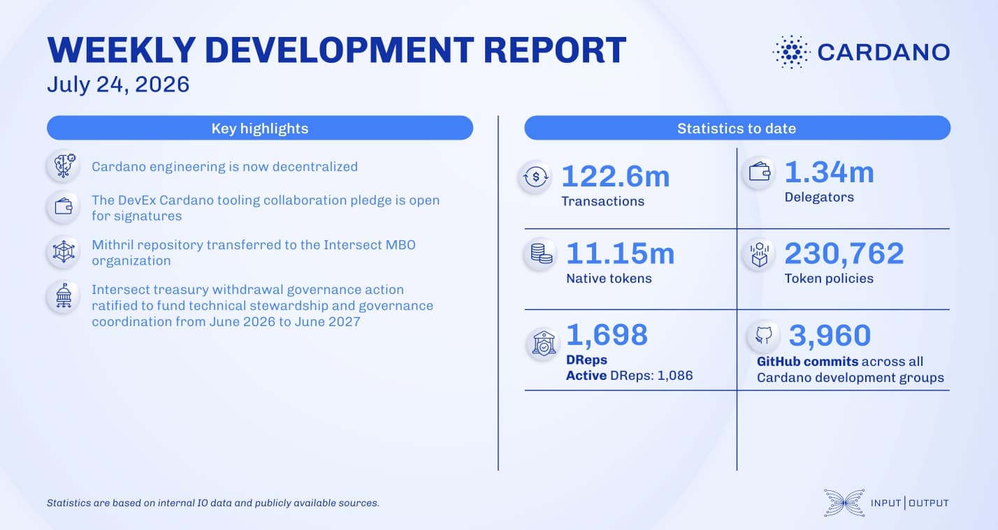 Weekly development report as of 2026-07-24