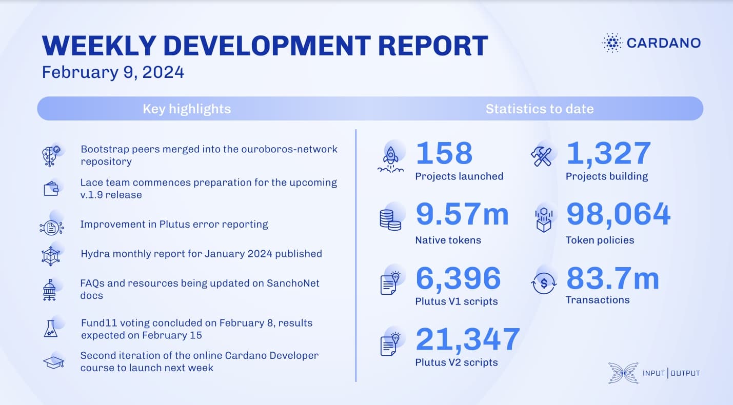 Weekly development report as of 2024-02-09