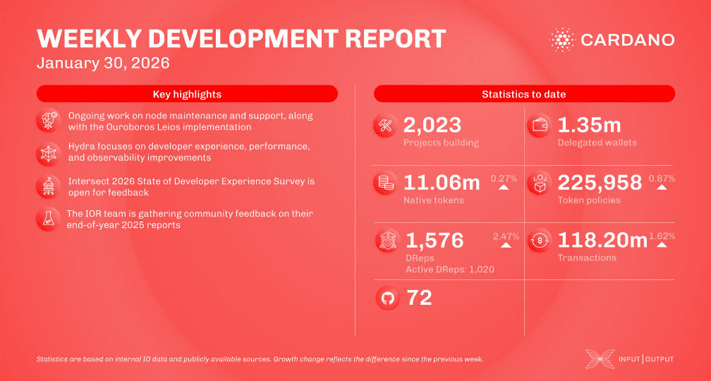 Weekly development report as of 2026-01-30
