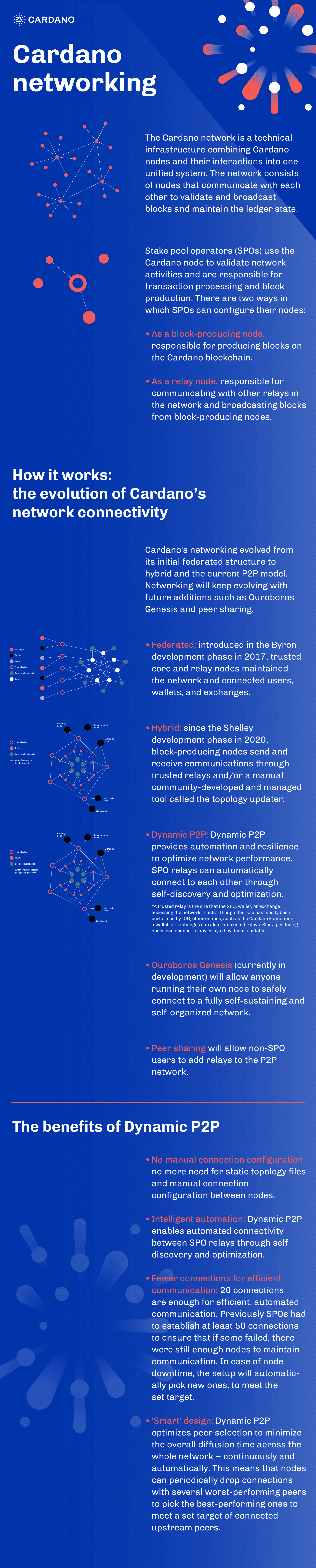 Cardano networking: Dynamic P2P