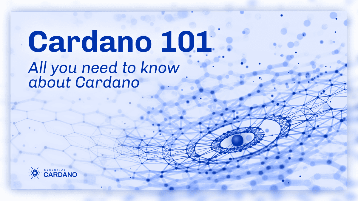 Cardano 101