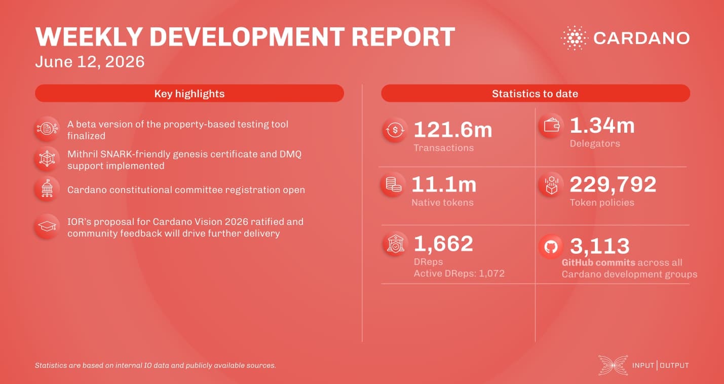 Weekly development report as of 2026-06-12