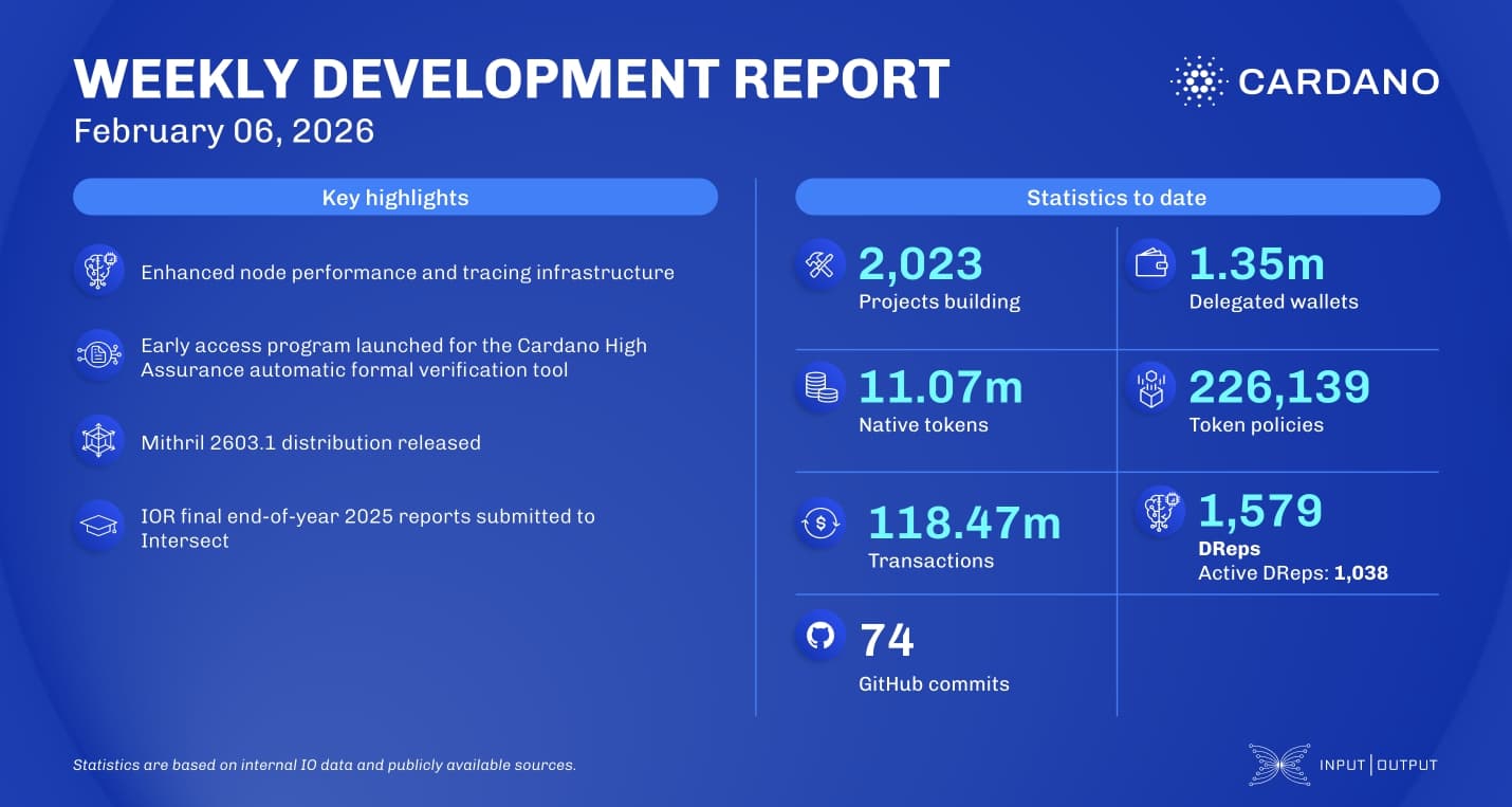 Weekly development report as of 2026-02-06