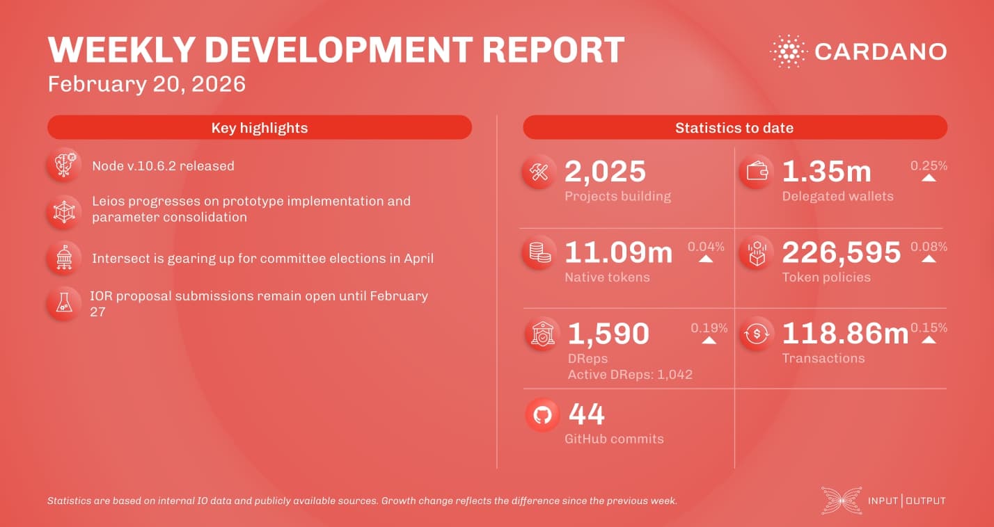Weekly development report as of 2026-02-20