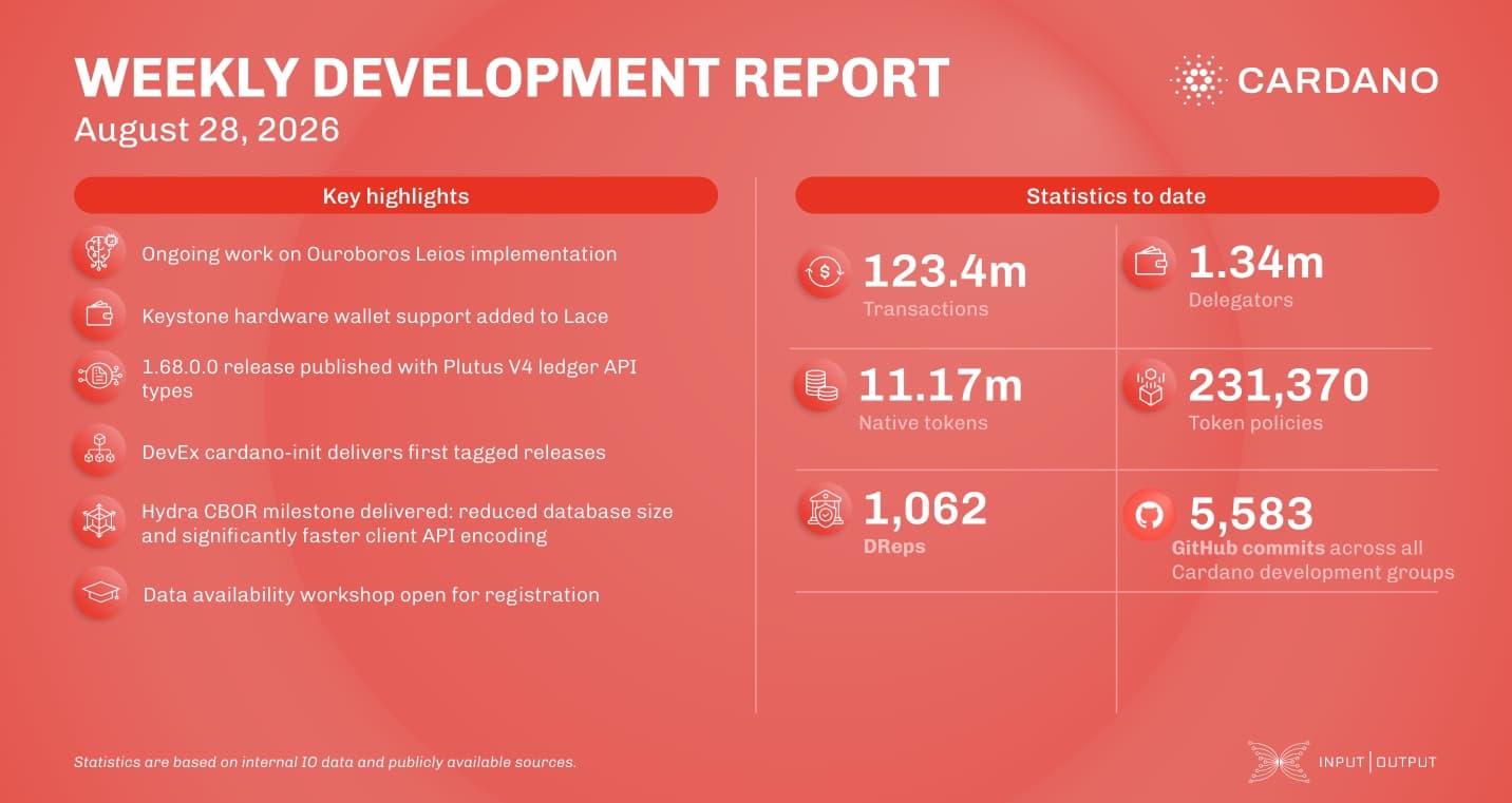 Weekly development report as of 2026-08-28