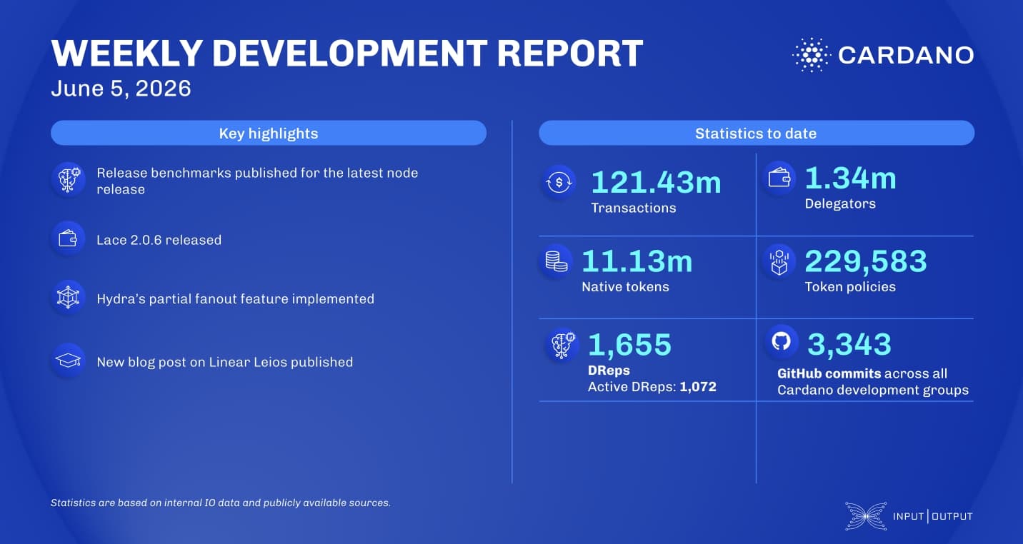 Weekly development report as of 2026-06-05