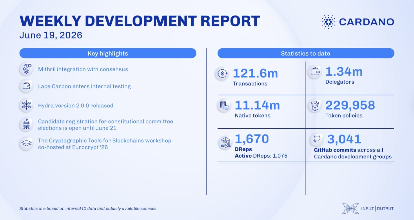 Weekly development report as of 2026-06-19
