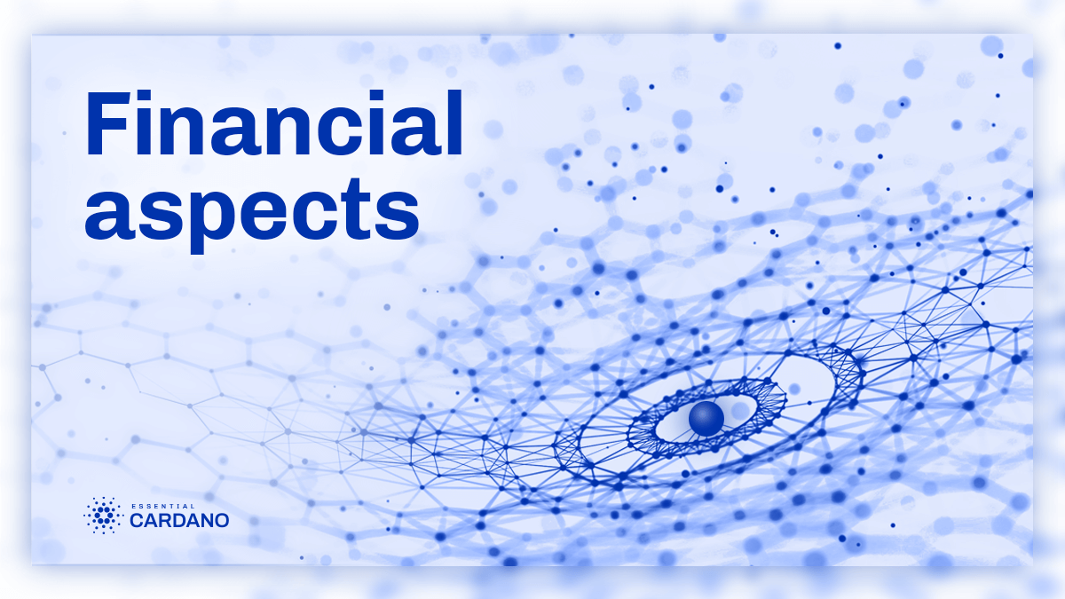 Financial aspects