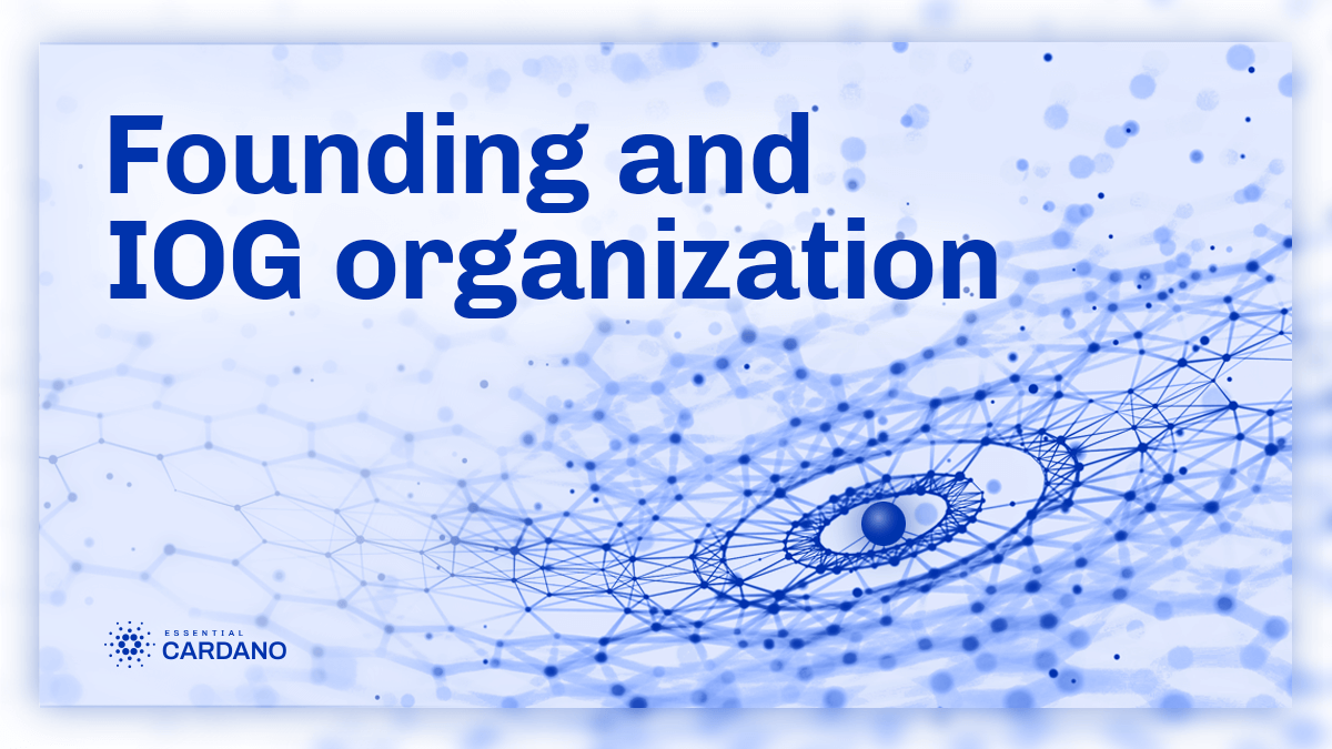 Founding and IOG organization