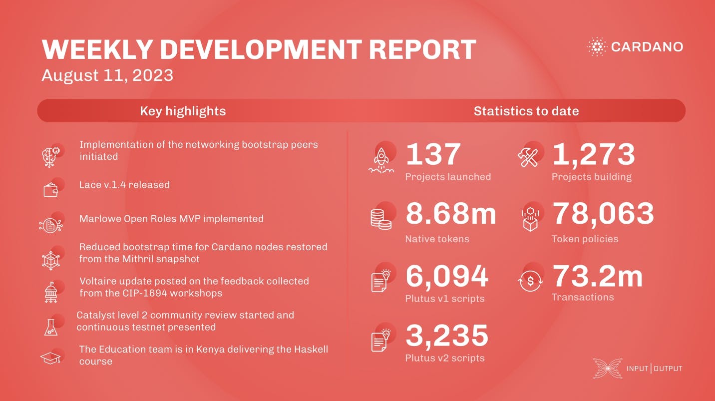 Weekly development report as of 2023-08-11