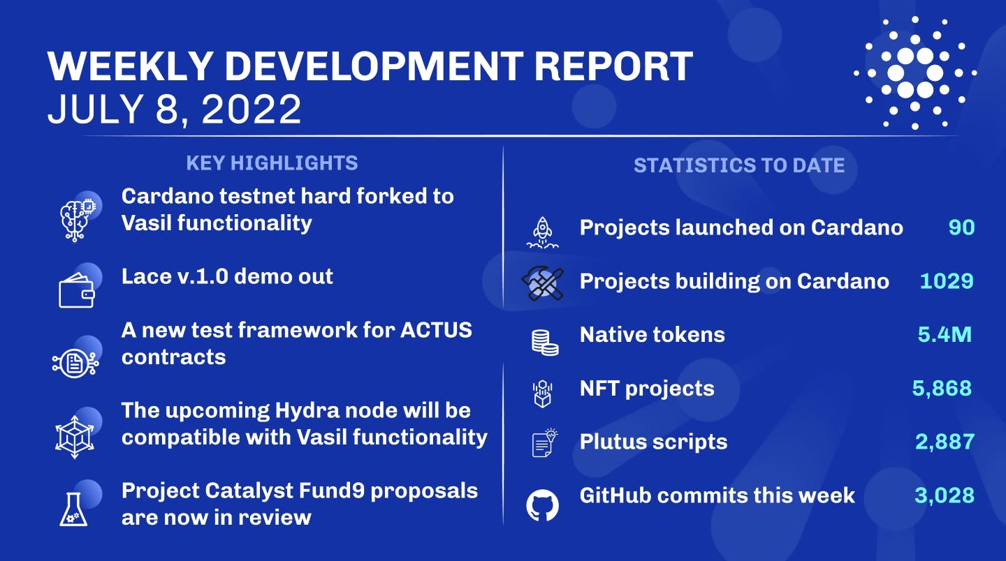 Weekly development report as of 2022-07-08