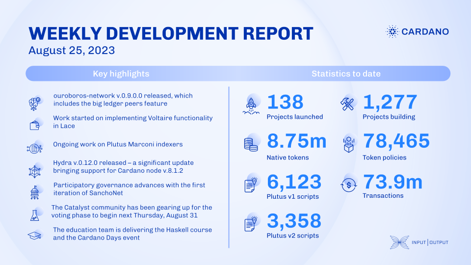 Weekly development report as of 2023-08-25