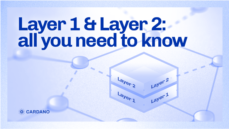 Layer 1 & Layer 2: all you need to know