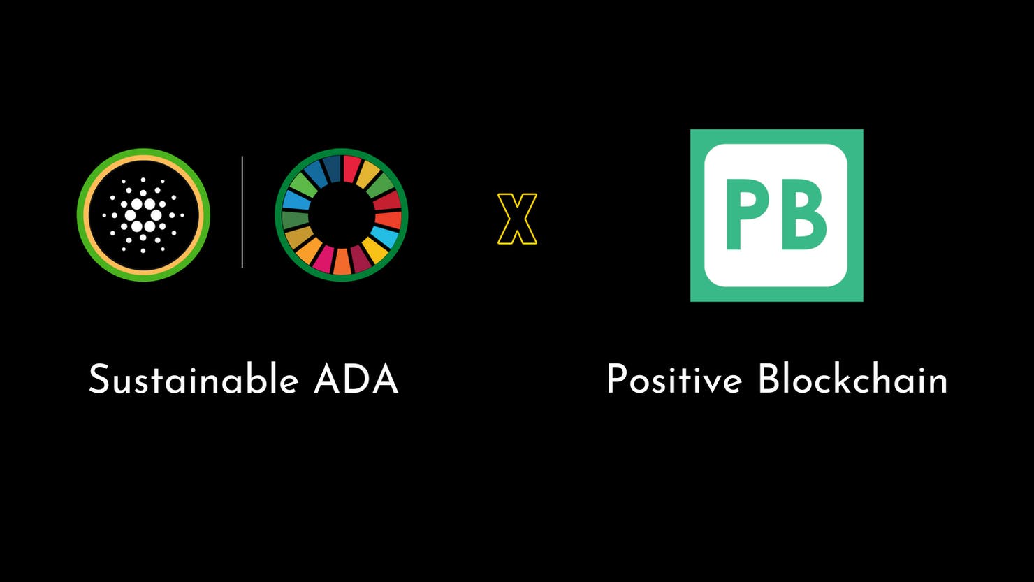 Positive Blockchain and Sustainable ADA partner up to propose in Fund 8 Project Catalyst