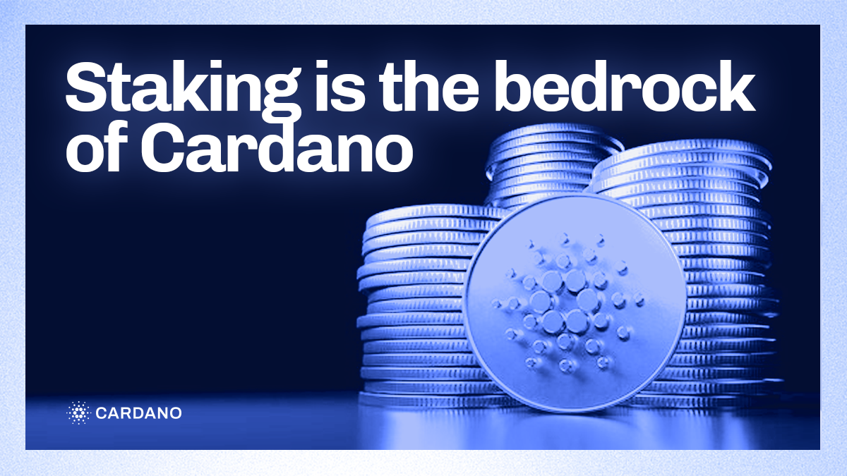 Staking is the bedrock of Cardano