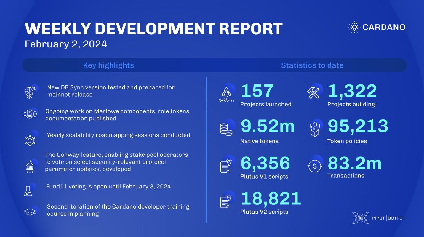 Weekly development report as of 2024-02-02