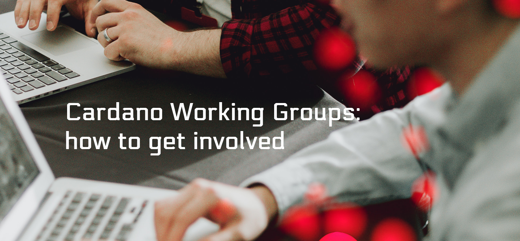 Cardano Working Groups: how to get involved