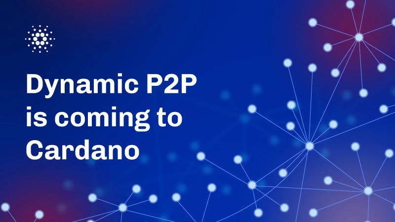 Dynamic P2P is available on mainnet