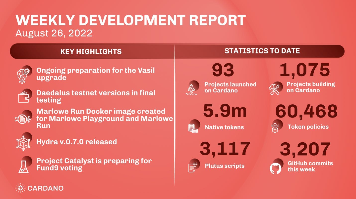 Weekly development report as of 2022-08-26